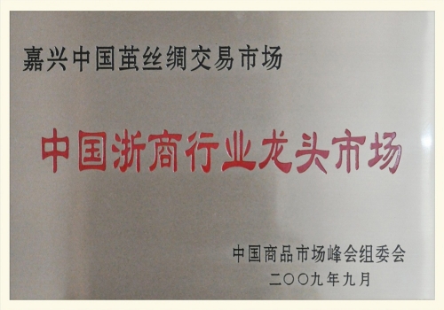 浙商行業(yè)龍頭市場(chǎng)